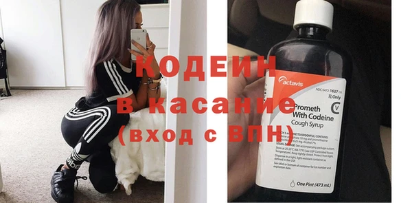 хмурый Корсаков