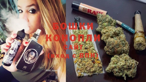 хмурый Корсаков