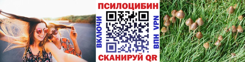 Псилоцибиновые грибы MAGIC MUSHROOMS  купить  сайты  МЕГА как зайти  Сочи 